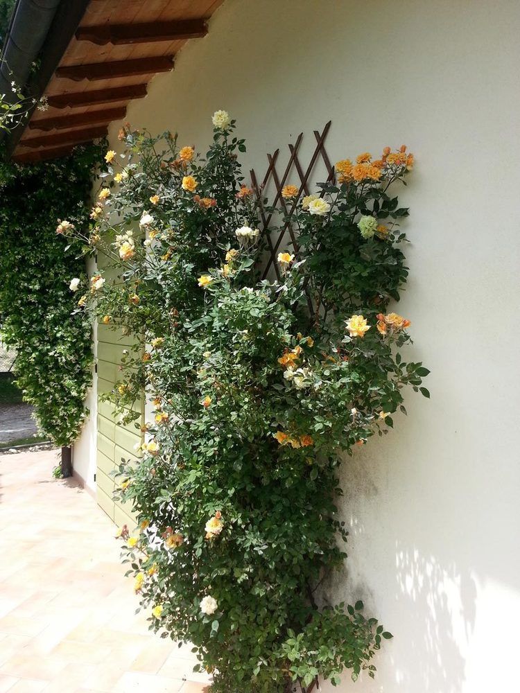 Caterina Residence Faenza Exterior foto
